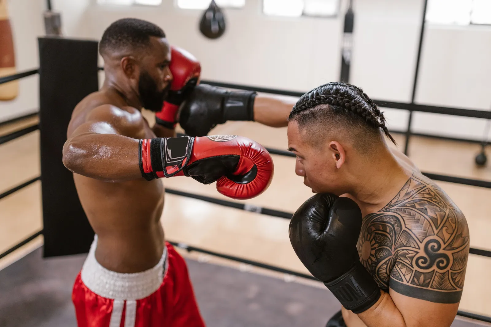 Boxing sparring in the ring